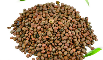 ���R����