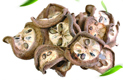 �A(y��)֪��