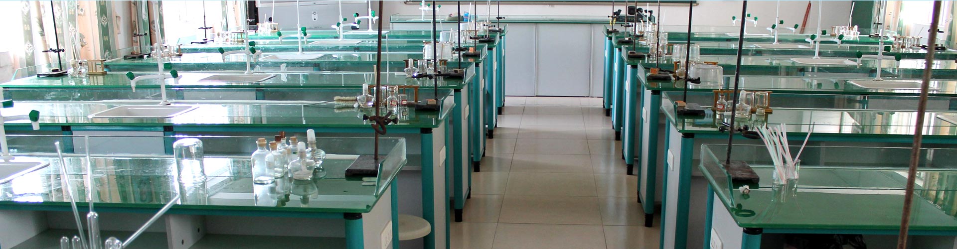 ���󅢣��W(xu��)����Panax quinquefolius�����˅���һ�N���ַQ(ch��ng)�V�|�˅������셢